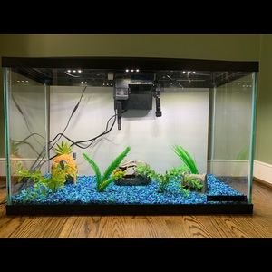 29 gallon fish tank